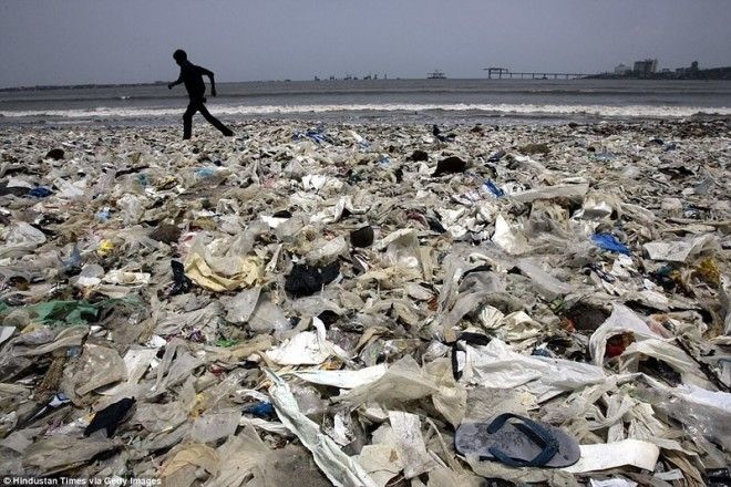 Чемпион Земли: как обычный человек очистил пляж от 5000 тонн мусора 34