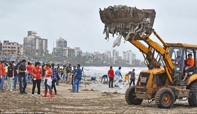 Чемпион Земли: как обычный человек очистил пляж от 5000 тонн мусора 40