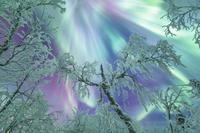 20 причин, почему Лапландия — волшебное место, чтобы справлять Новый год 42
