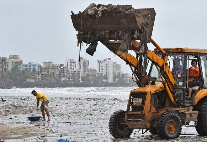 Чемпион Земли: как обычный человек очистил пляж от 5000 тонн мусора 39