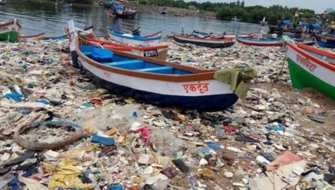 Чемпион Земли: как обычный человек очистил пляж от 5000 тонн мусора 35