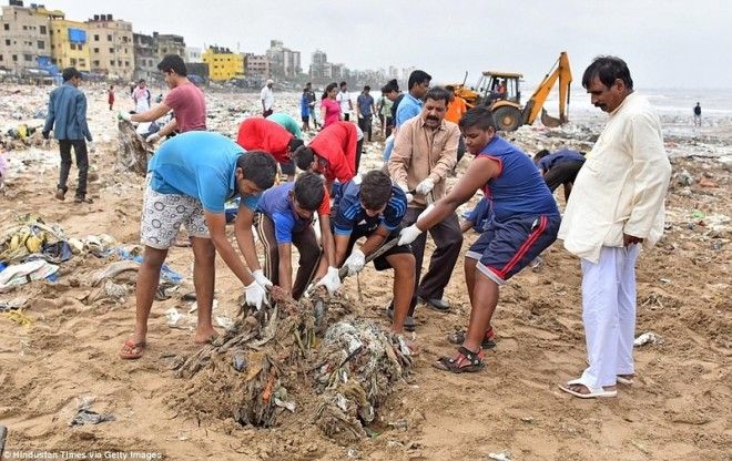 Чемпион Земли: как обычный человек очистил пляж от 5000 тонн мусора 41