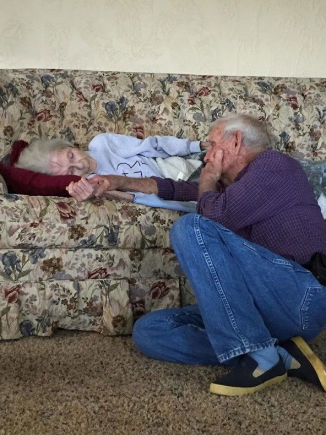 50 предсмертных снимков, которые напомнят, как важно любить своих близких 76
