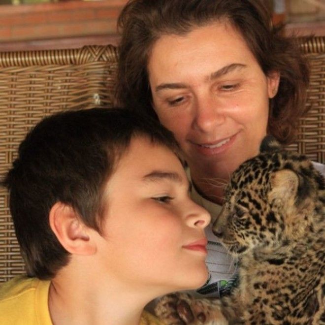 Тьяго Силвейра – бразильский мальчик, живущий с ягуарами 27
