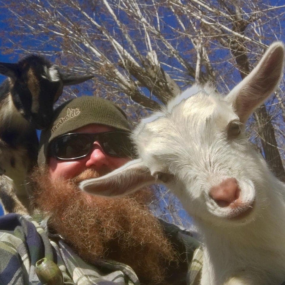 17 фото, которые доказывают, что “козёл” — это не оскорбительно, а бееезумно мило и смешно 60