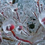 Ледяное вдохновение — 23 фото интересных образований изо льда