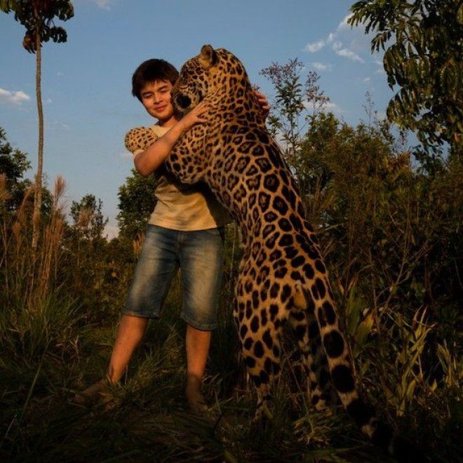 Тьяго Силвейра – бразильский мальчик, живущий с ягуарами 28