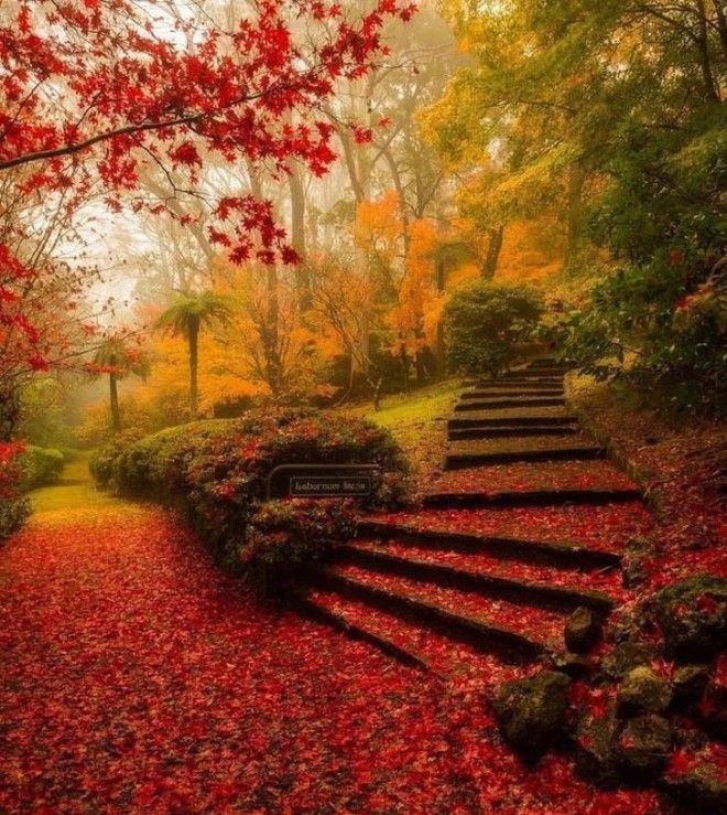 25 потрясающих фото о том, как осень умеет творить настоящие чудеса 46