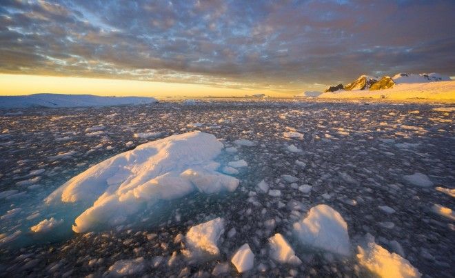 20 любопытных фактов об Антарктиде, которых вы не знали 44