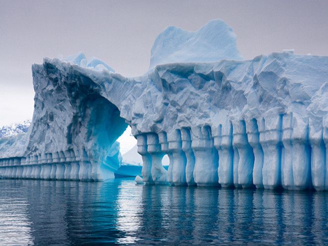 20 любопытных фактов об Антарктиде, которых вы не знали 41