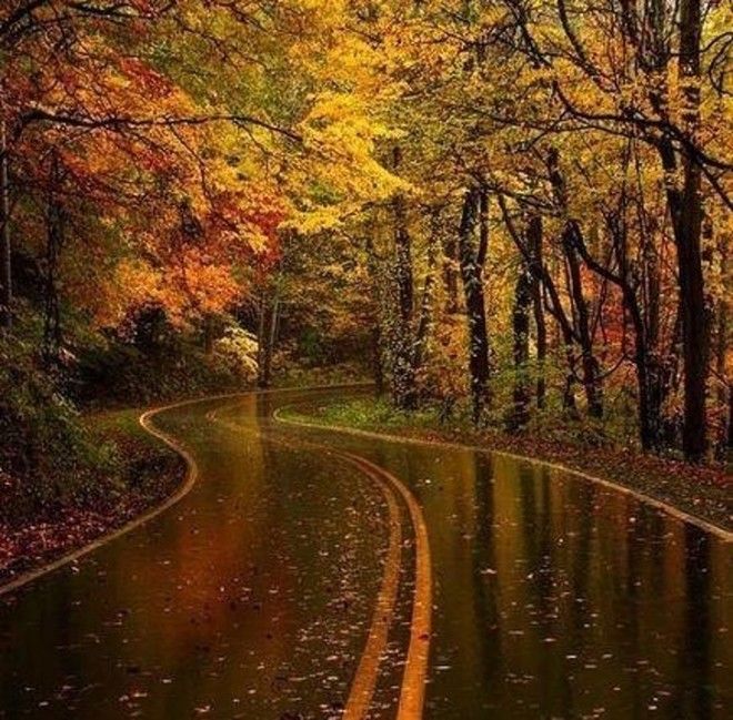 25 потрясающих фото о том, как осень умеет творить настоящие чудеса 52