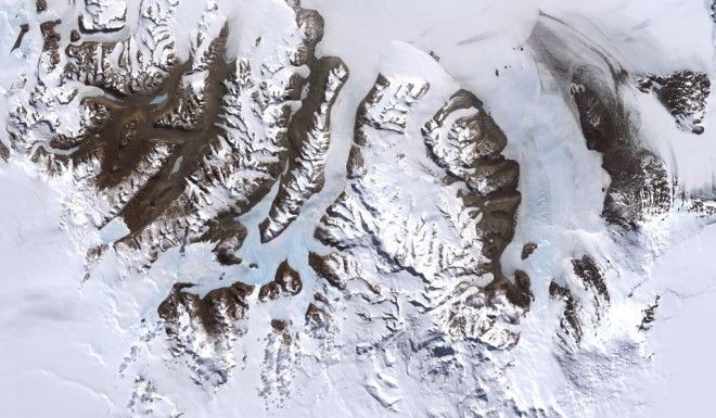 20 любопытных фактов об Антарктиде, которых вы не знали 40
