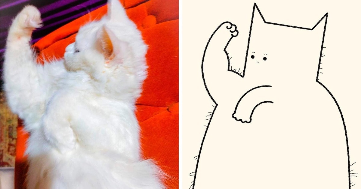 19 работ художника, который находит смешные фото котов в интернете и превращает их в забавные карикатуры 69