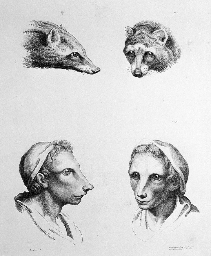 Французский художник представил, как выглядели бы люди, если бы произошли не от приматов, а от других животных 67