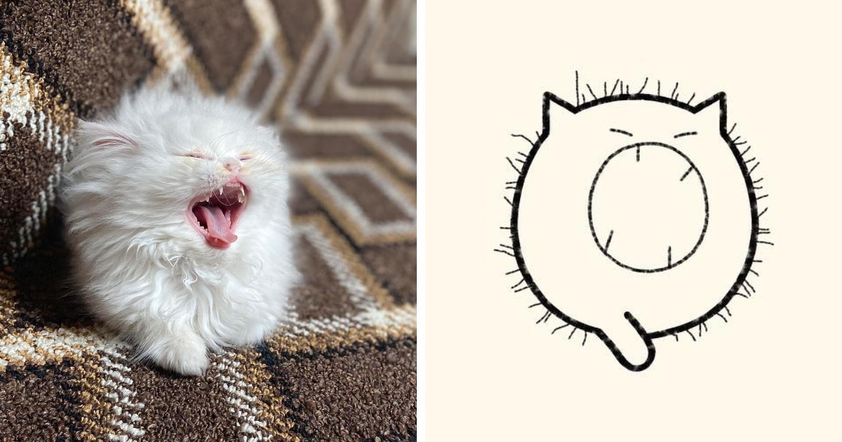 19 работ художника, который находит смешные фото котов в интернете и превращает их в забавные карикатуры 73