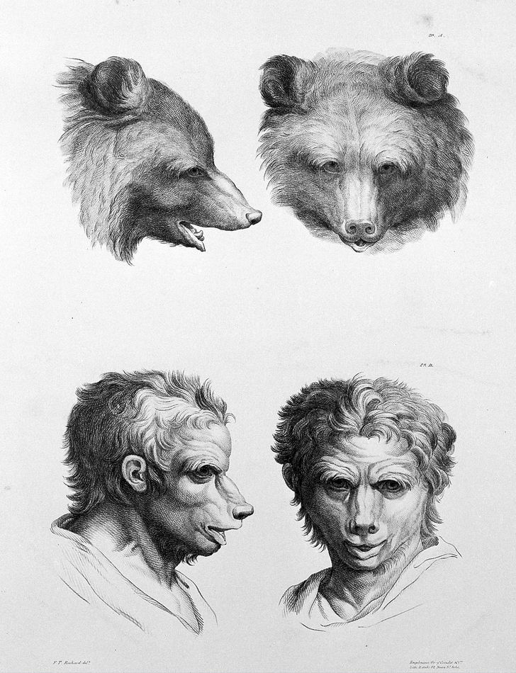 Французский художник представил, как выглядели бы люди, если бы произошли не от приматов, а от других животных 61
