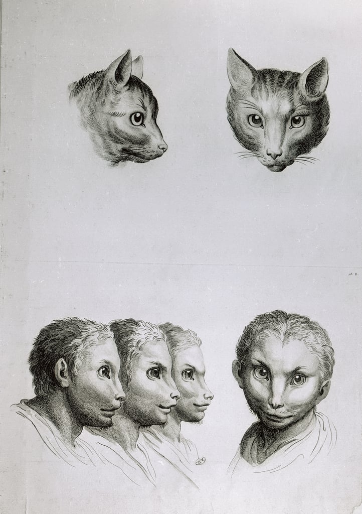 Французский художник представил, как выглядели бы люди, если бы произошли не от приматов, а от других животных 69