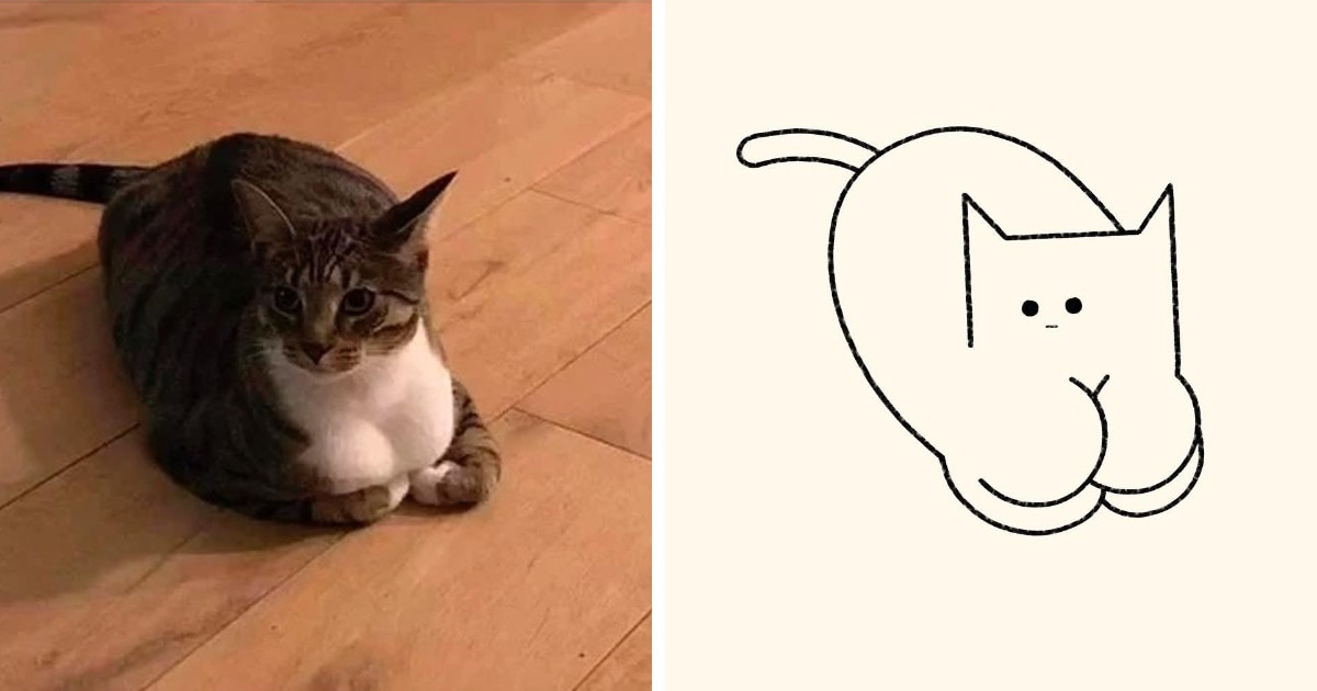 19 работ художника, который находит смешные фото котов в интернете и превращает их в забавные карикатуры 58