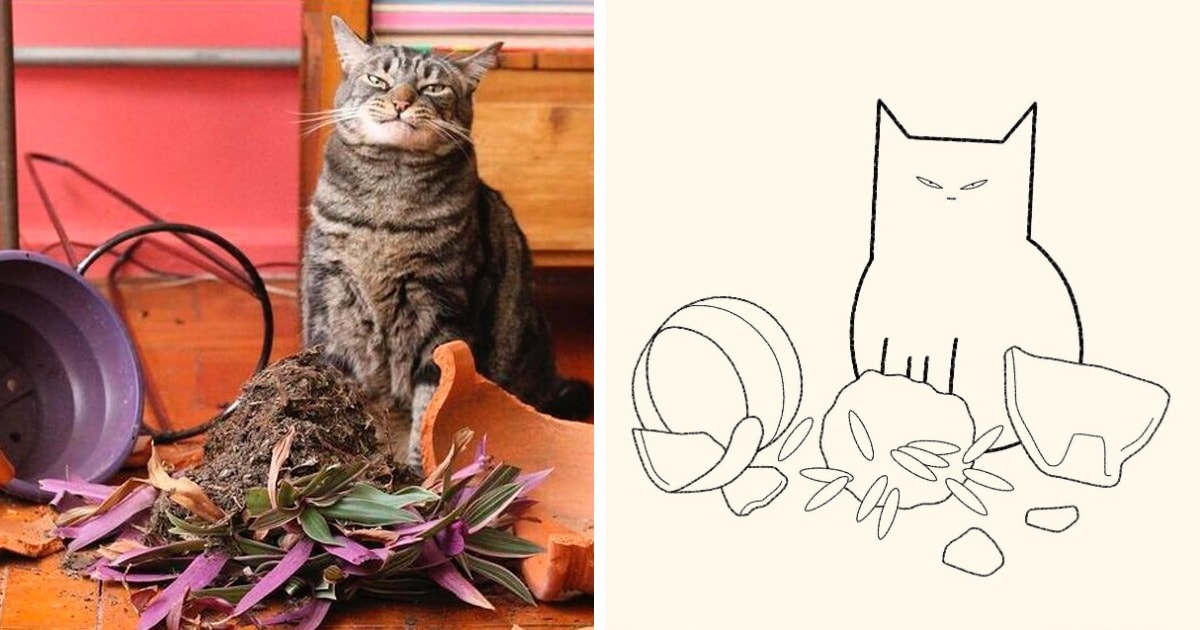 19 работ художника, который находит смешные фото котов в интернете и превращает их в забавные карикатуры 62