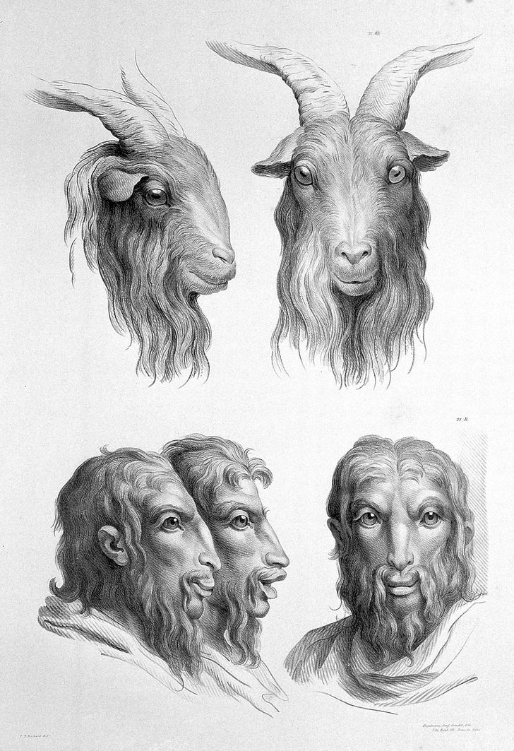 Французский художник представил, как выглядели бы люди, если бы произошли не от приматов, а от других животных 60