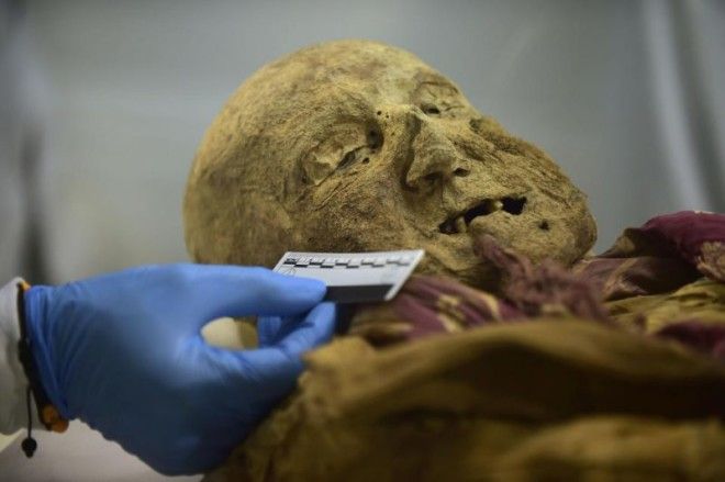 500-летняя мумия монаха может дать ответ, почему мы страдаем от ревматизма 16