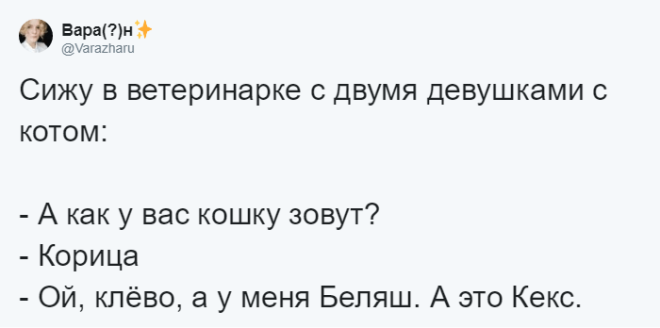 SЛюди рассказывают о мягко говоря странных кличках своих домашних питомцев