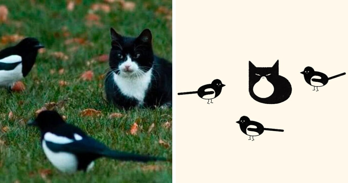 19 работ художника, который находит смешные фото котов в интернете и превращает их в забавные карикатуры 59