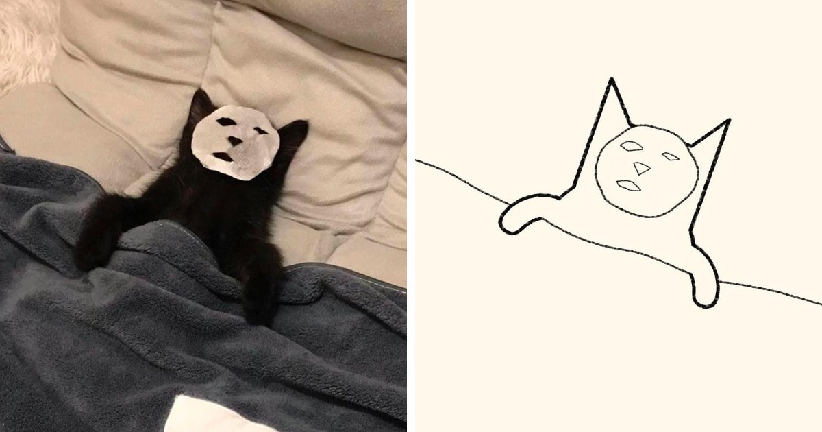19 работ художника, который находит смешные фото котов в интернете и превращает их в забавные карикатуры 64