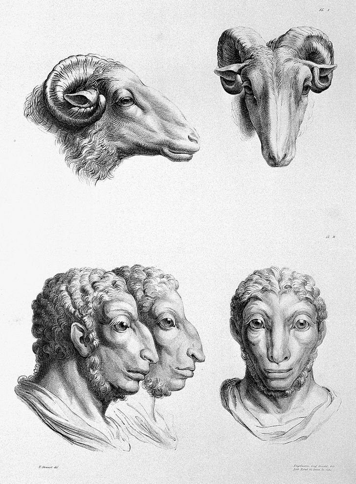 Французский художник представил, как выглядели бы люди, если бы произошли не от приматов, а от других животных 58