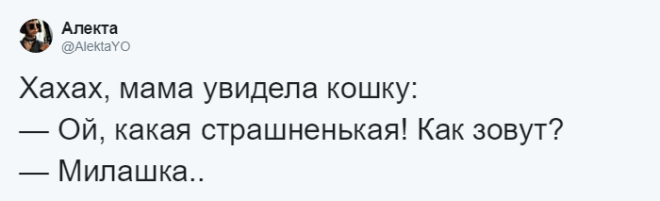 SЛюди рассказывают о мягко говоря странных кличках своих домашних питомцев