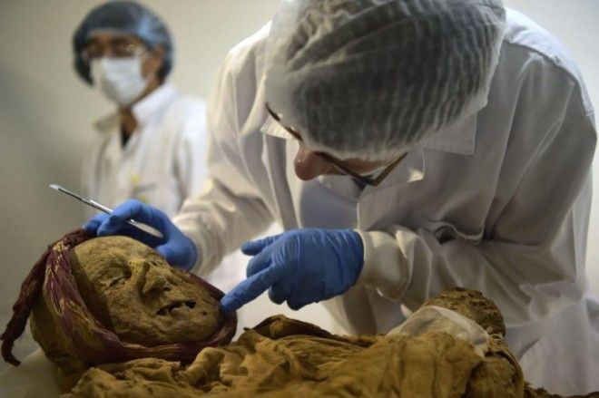 500-летняя мумия монаха может дать ответ, почему мы страдаем от ревматизма 17