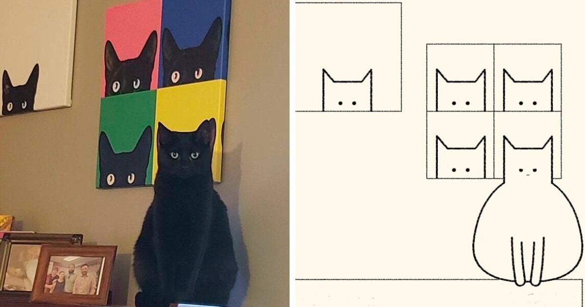 19 работ художника, который находит смешные фото котов в интернете и превращает их в забавные карикатуры 70