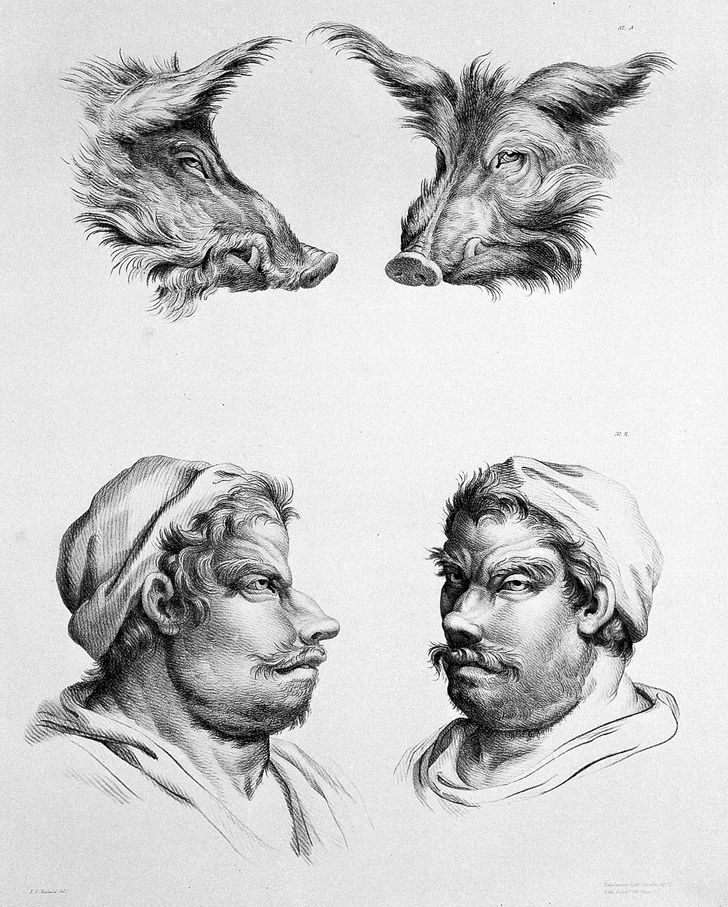 Французский художник представил, как выглядели бы люди, если бы произошли не от приматов, а от других животных 62