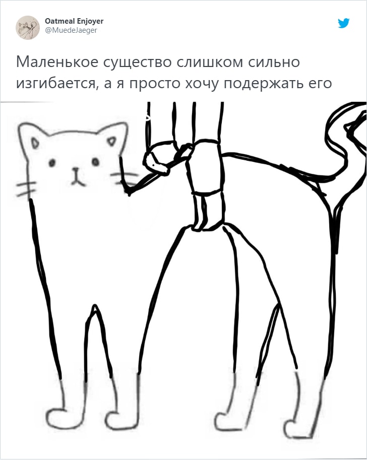 Пользователям сети предложили дорисовать кота, и они сделали это в меру своей фантазии и изобретательности 91