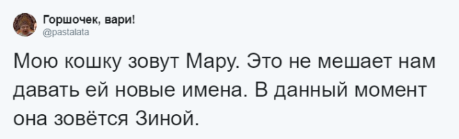 SЛюди рассказывают о мягко говоря странных кличках своих домашних питомцев