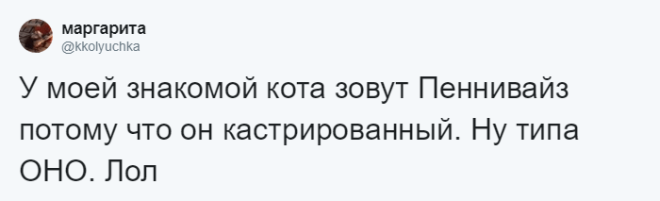 SЛюди рассказывают о мягко говоря странных кличках своих домашних питомцев