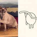 19 работ художника, который находит смешные фото котов в интернете и превращает их в забавные карикатуры