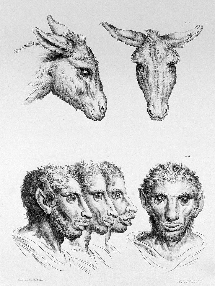 Французский художник представил, как выглядели бы люди, если бы произошли не от приматов, а от других животных 64