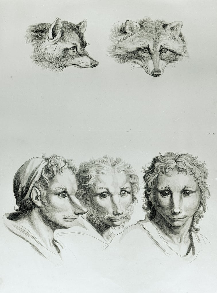 Французский художник представил, как выглядели бы люди, если бы произошли не от приматов, а от других животных 70