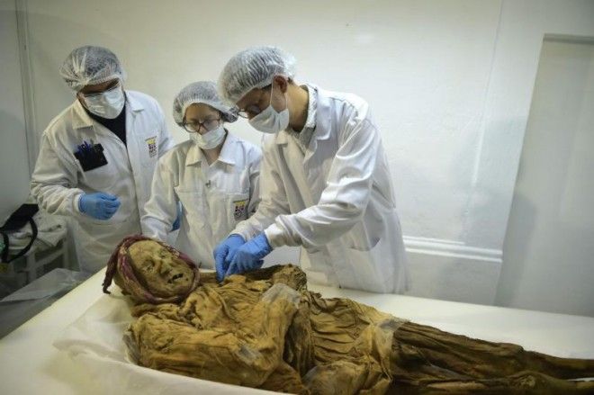 500-летняя мумия монаха может дать ответ, почему мы страдаем от ревматизма 19