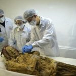 500-летняя мумия монаха может дать ответ, почему мы страдаем от ревматизма