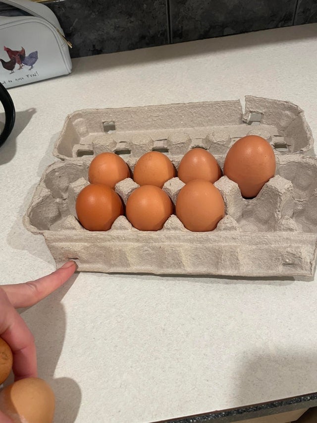 15 фотографий странных куриных яиц, которые доказывают, что даже такая простая вещь может быть удивительной 52