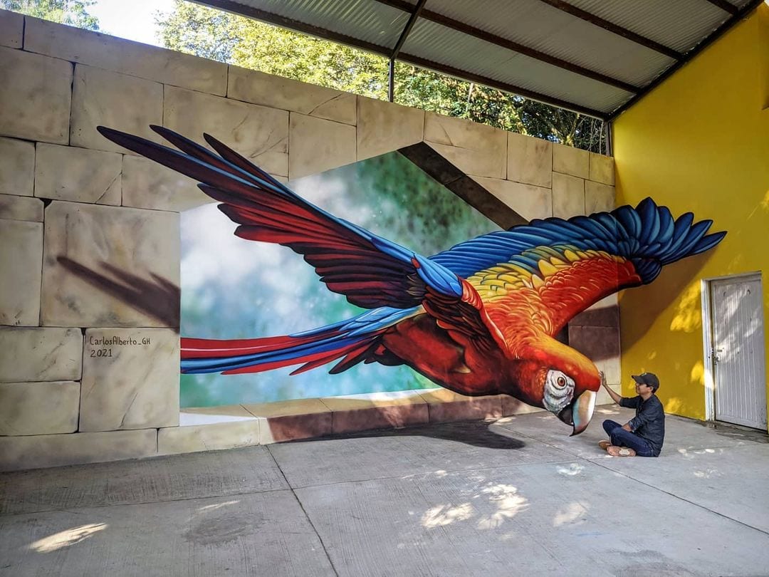 20 потрясающих 3D-граффити от художника из Мексики, чьи работы так и норовят выпрыгнуть на волю 80