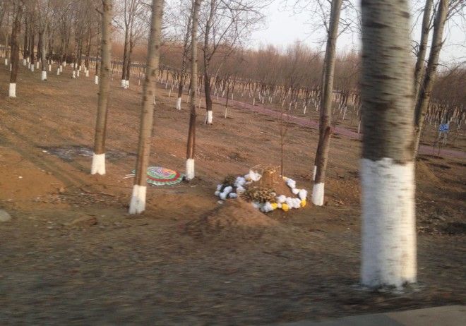 6 грустных фактов о похоронах в Китае: место за миллион и аренда могил 23