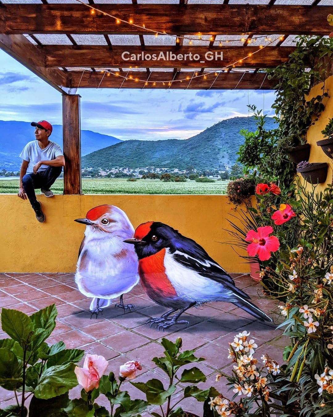 20 потрясающих 3D-граффити от художника из Мексики, чьи работы так и норовят выпрыгнуть на волю 71