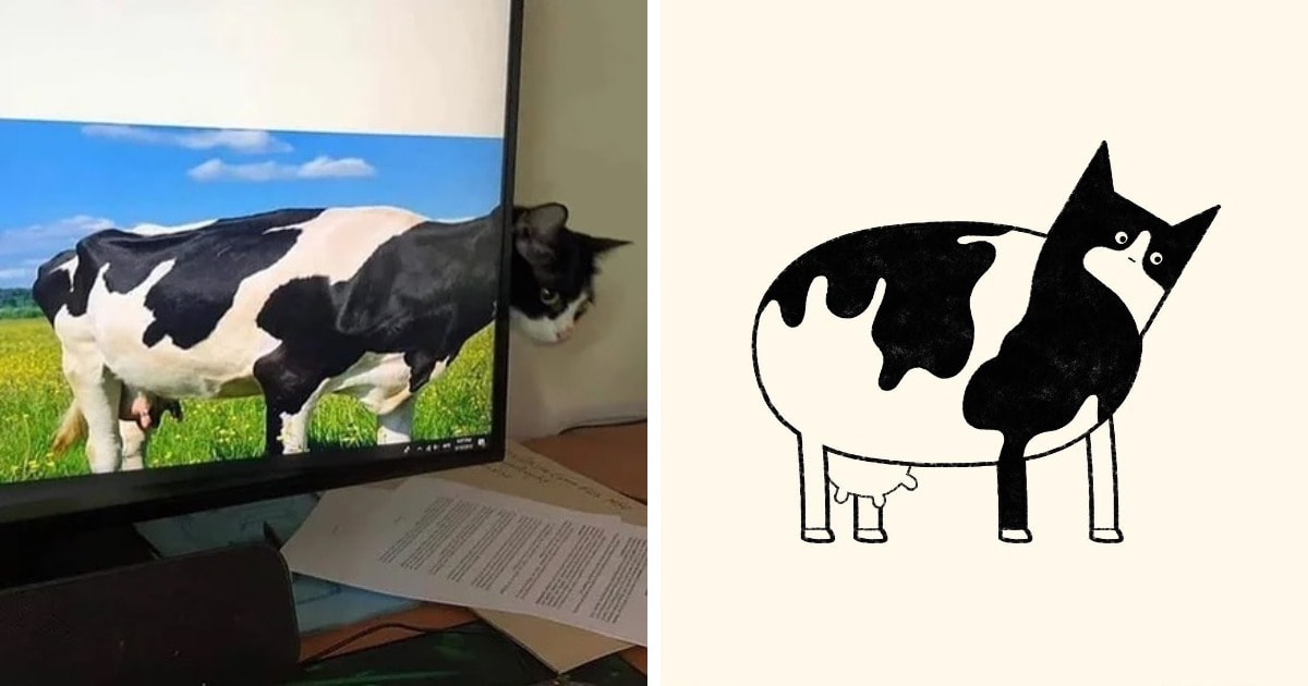 18 работ художника, который жить не может без того, чтобы не сделать из какого-нибудь кота смешную карикатуру 56