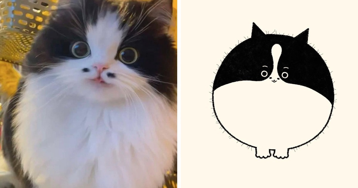18 работ художника, который жить не может без того, чтобы не сделать из какого-нибудь кота смешную карикатуру 55