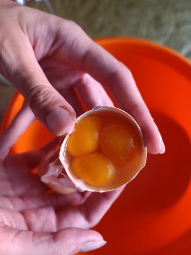 15 фотографий странных куриных яиц, которые доказывают, что даже такая простая вещь может быть удивительной 47