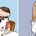 19 жизненных и забавных комиксов, которые отлично поймёт каждый, у кого дома живёт кот или кошка
