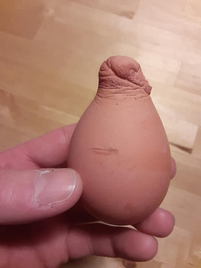 15 фотографий странных куриных яиц, которые доказывают, что даже такая простая вещь может быть удивительной 59